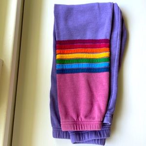 Aviator nation Purple and pink rainbow sweatpants